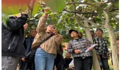 永顺县农业农村局：狠抓农业科技服务，助推营商环境优化