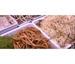 成都人春天必吃美食，爆汁流油大春卷！