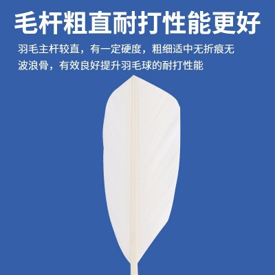 羽毛球12只装耐打正品不易打烂鹅毛室内室外比赛防风训练用球3只图5