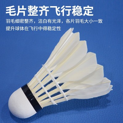 羽毛球12只装耐打正品不易打烂鹅毛室内室外比赛防风训练用球3只图4