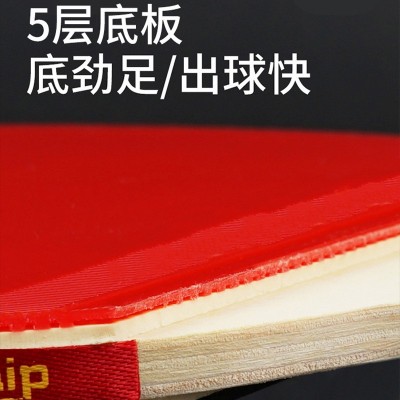 批发乒乓球拍训练比赛初学者专业横直拍套装成品乒乓球厂家直销图2