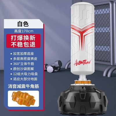 爱倍健拳击沙袋散打立式家用成人沙包不倒翁儿童跆拳道训练拳击柱图5